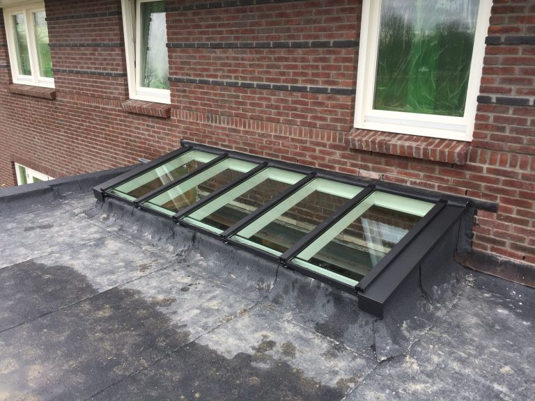 Moderne woning met zwarte lessenaarsdak lichtstraat op plat dak tegen gevel